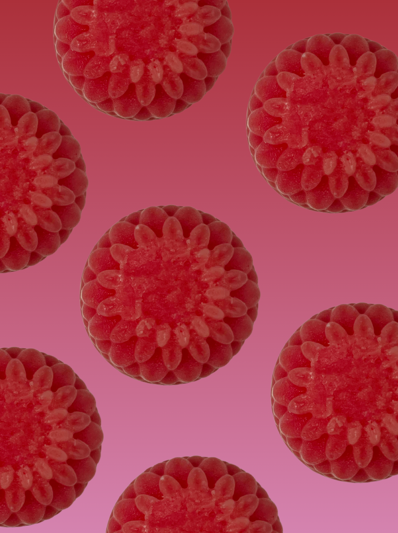 Tropical Daydream - Conditioner Bar - Conditioner Bar